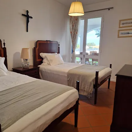 L'oasis Palm House *